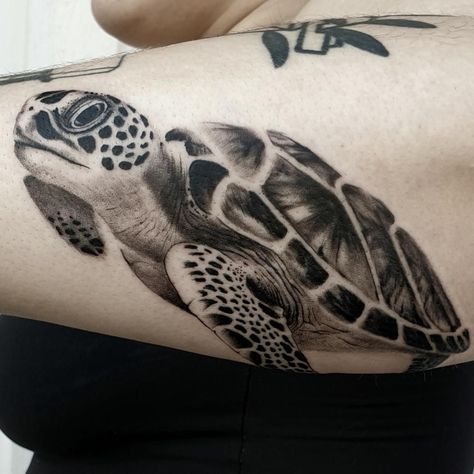 Sea Tattoo Sleeve, Chris Tattoo, Tortoise Tattoo, Sea Turtle Tattoo, Tattoo Beautiful, Turtle Tattoo Designs, Octopus Tattoo Design, Sea Tattoo, Ocean Tattoos