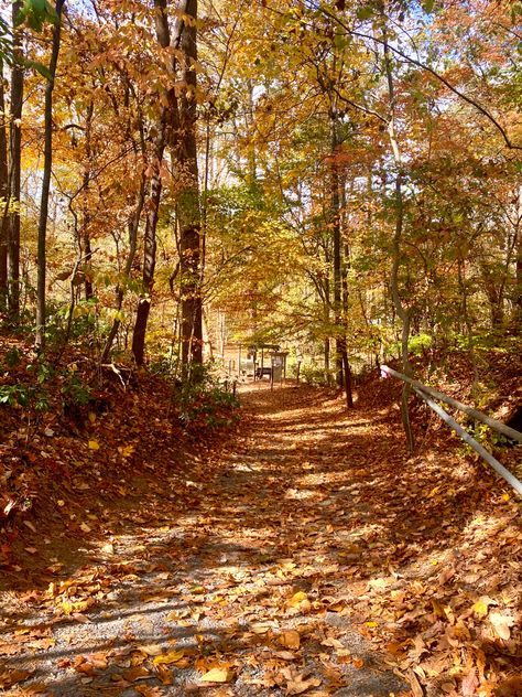 Beginning Of Fall Aesthetic, Autumn Hiking Aesthetic, Gronola Aesthetic, Hiking Aesthetic Fall, Fall Hike Aesthetic, Fall Hiking Aesthetic, Autumnal Activities, Hike Aesthetic, Aesthetic Fall Vibes