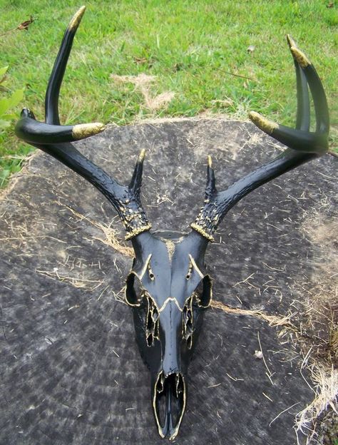 Hand Painted European Deer Skull Mount w Antlers Black Gold Ships Free | eBay Skull Mount Ideas, Painted Deer Skulls, Deer Skull Mount, Painted Animal Skulls, Deer Head Decor, Deer Skull Art, Cow Skull Decor, Antler Ideas, Cow Skull Art