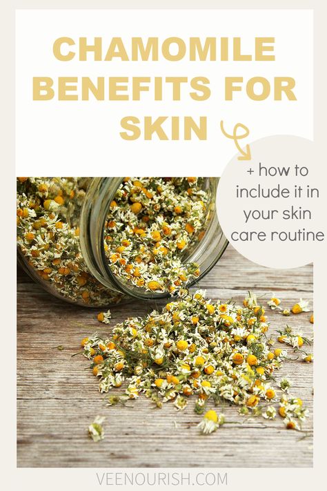 Chamomile For Skin, Chamomile Skin Benefits, Chamomile Oil Benefits, Chamomile Essential Oil Benefits, Chamomile Benefits, Benefits Of Chamomile, Beeswax Products, Chamomile Tea Benefits, Chamomile Seeds