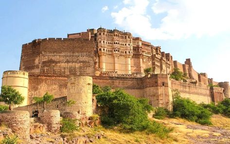 Stepping back in time at Mehrangarh Fort - Where history meets grandeur.

#JodhpurDiaries #RoyalRajasthan #mehrangarhfort #jodhpurcity #jodhpurguide #RajasthanRoyals #fortsandpalaces #indiatrip #jodhpur Rare Species Of Animals, Mehrangarh Fort Jodhpur, Mehrangarh Fort, Blue City, Travel Companies, Udaipur, Taxi Service, Pre Wedding Photoshoot, Jodhpur