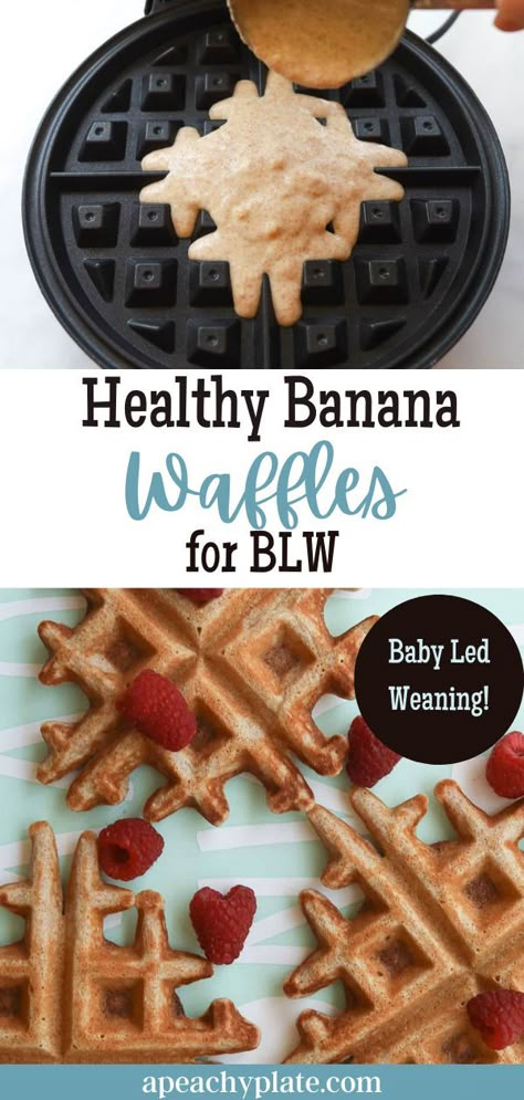 Blw Waffles Easy, Blw Schedule, Banana Recipes For Babies, Waffle Recipe For Toddler, Banana Blw Recipe, Blw Breakfast Recipes, Mini Waffle Maker Recipes Blw, Banana Waffles For Baby, Healthy Waffle Mix Recipe