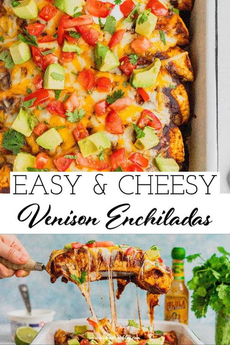 Venison Enchiladas, Venison Dishes, Hunting Recipes, Homemade Red Enchilada Sauce, Easy Enchilada Recipe, Venison Tenderloin, Venison Meat, Venison Roast, Deer Recipes