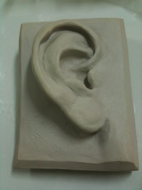 Anatomy Ceramics, Ear Anatomy, Anatomy Sculpture, Human Sculpture, Sculpture Art Clay, Homemade Dolls, Kids Math Worksheets, Clay Tiles, Ceramics Ideas Pottery