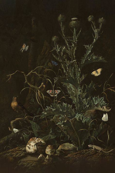 Tones: Kelp Green, Taupe Clay, Neutral Black About The Print:  Set against a dark packground, a large thistle stands while butterflies and other wildlife huddle around. Oil on canvas. About The Artist:  Abraham Begeyn was a Dutch Golden Age painter known for his landscapes and still-life paintings. Born in The Hague, h Thistles Art, Moth Art, Dutch Golden Age, Unframed Art Prints, The Hague, Unframed Art, Still Life Painting, Framed Tv, Abstract Floral