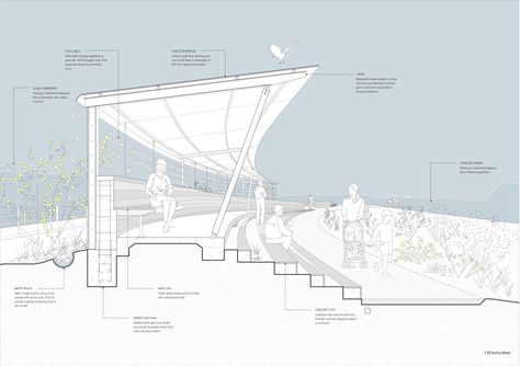 Outdoor Amphitheater Architecture, Amphitheater Architecture, Urban Design Diagram, Pavilion Architecture, Architecture Presentation Board, Architecture Graphics, Architecture Concept Drawings, Architectural Section, Layout Architecture