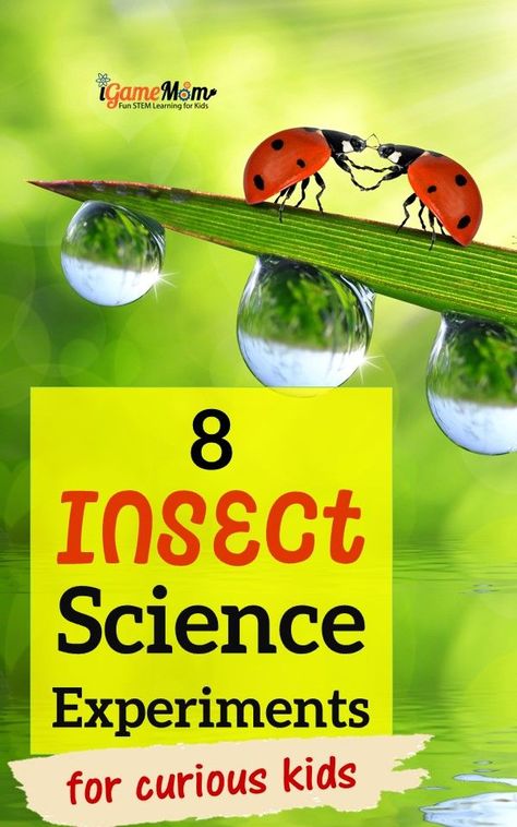 10 Apps for Kids to Learn About Human Body Nature Schooling, Insect Science, Flower Science, Simple Science Experiments, Cool Science Fair Projects, Bug Activities, Stem Experiments, Insect Activities, Science Experiments For Kids