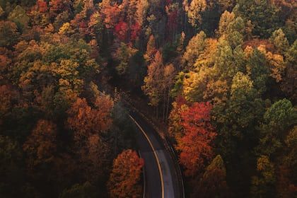 October Calendar Wallpaper, Gatlinburg Elopement, Mars Hill University, Fall Playlist, Best Weekend Trips, Leaf Peeping, Gatlinburg Tennessee, Forest Road, Her Campus