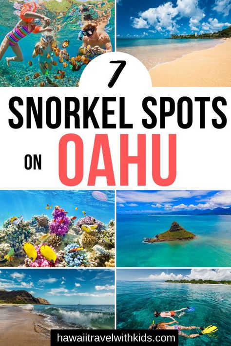 Hawaii Vacation Oahu, Things To Do On Oahu, Hawaii Vacation Tips, Hawaii Trip Planning, Oahu Vacation, Hawaiian Travel, Oahu Travel, Hawaii Things To Do, Hawaii Travel Guide