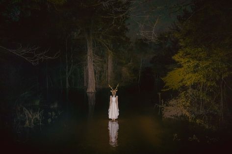 (1) breezeh on Twitter: "Photos I took in the swamp https://t.co/BtpXHn98FF" / Twitter Western Horror, Southern Gothic Aesthetic, Folk Horror, Ethel Cain, American Gothic, Southern Gothic, Gothic Aesthetic, Gothic Horror, Season Of The Witch