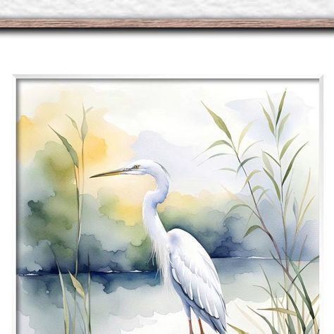 @lady.of.rosehill on Instagram: "White heron No.1 #watercolor #aquarelle" Shore Bird Art, Heron Illustration, Coastal Art Painting, Vintage Bird Illustration, Wildlife Decor, Blue Heron, Art Prints For Home, Bird Illustration, Watercolor Animals