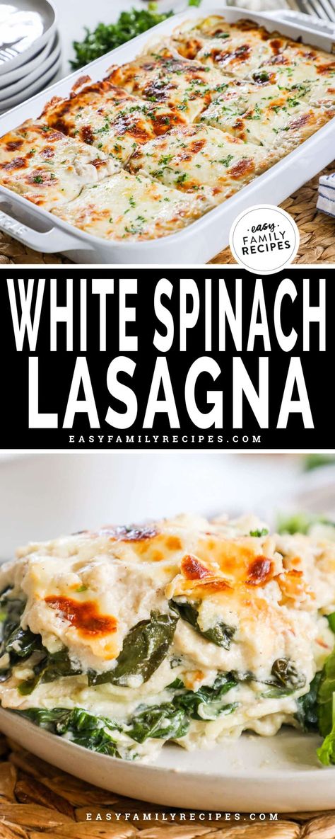 White Lasagna with Spinach · Easy Family Recipes White Spinach Lasagna, White Vegetable Lasagna, White Lasagne, White Lasagna Recipe, Lasagna With Spinach, Spinach Casserole Recipes, Ulcer Diet, Veggie Lasagna Recipe, Ham Breakfast Casserole