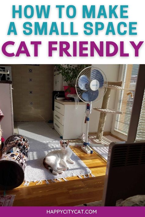 Apartment With Cat Ideas, Kitten Area In Bedroom, Catification Ideas Diy Apartment, Living With A Cat In An Apartment, Bedroom Ideas Cat Friendly, Cat In Small Apartment, Cat Room Ideas Small Spaces Tiny House, Cats Apartment Living, Catification Small Apartment