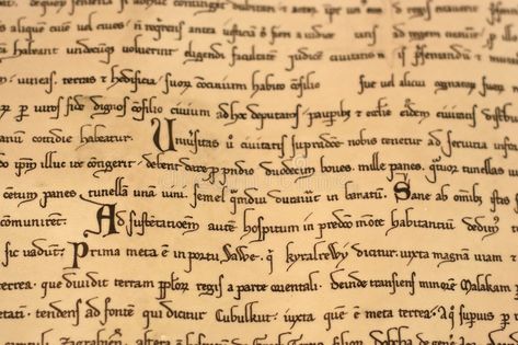 Latin Script, Adventure Fonts, Old Page, Medieval Literature, Medieval Aesthetic, Aesthetic Fonts, Old World Style, Medieval History, Junior Year