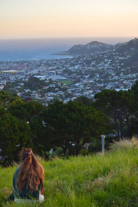 #wellington #newzealand #sunset Wellington New Zealand Aesthetic, Wellington Aesthetic, Auckland Aesthetic, Nz Aesthetic, New Zealand Aesthetic, Nz Travel, Moving To Australia, Wellington New Zealand, Hiking Aesthetic