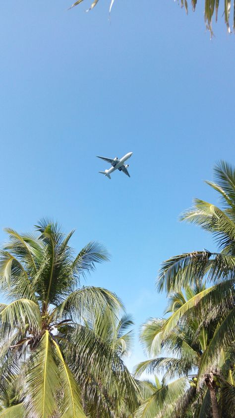 Airplane In The Sky Aesthetic, Aeroplane Aesthetic Wallpaper, Aesthetic Plane, Plane Wallpaper, Travel Plane, Fly Plane, Summer Wallpapers, Airplane Wallpaper, Flying With A Baby