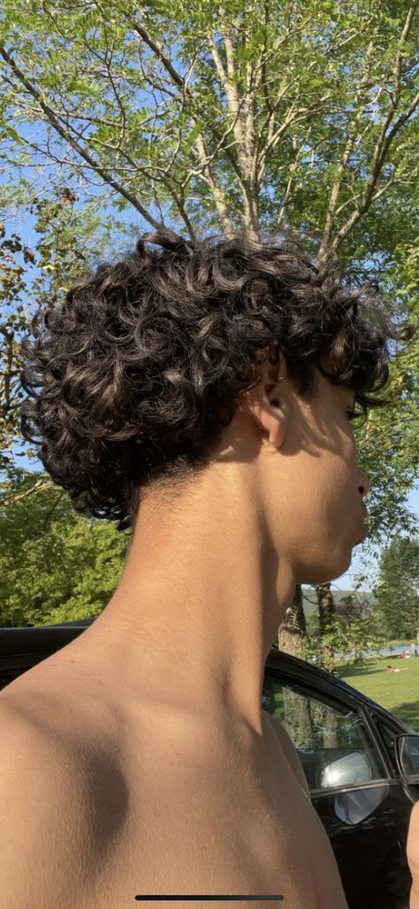 Natural Curly Hair Men Haircut, Perm On Boys Hair, Brazil Hairstyle Men, Male Curly Hairstyles Short, Curly Head Haircuts Men, Long Curly Taper Fade, Loose Curls Medium Length Hair Men, Low Taper Curly Hair Long, Grown Out Curly Hair Men