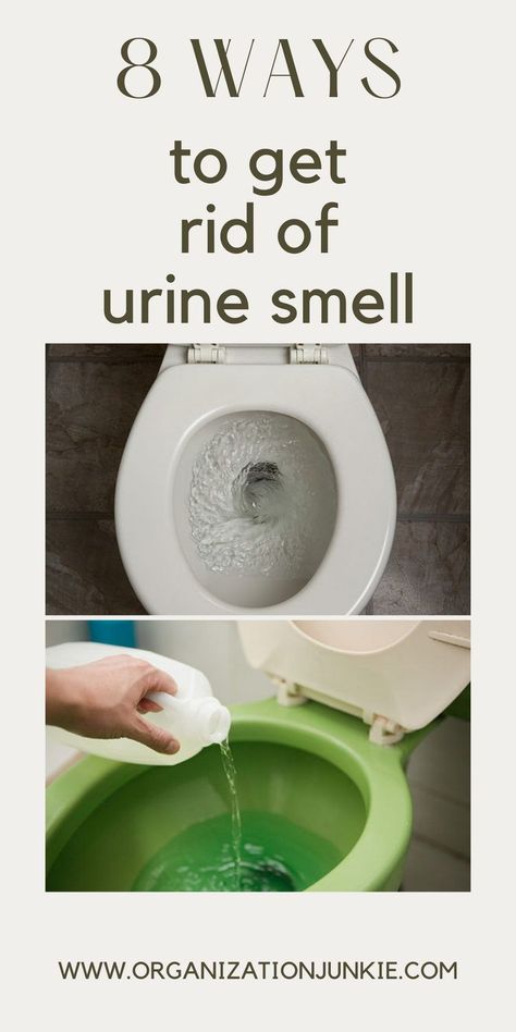 Nobody likes the smell of pee. Organizationjunkie.com can show you 8 ways to get rid of urine smell in your home. Simple tips to make your bathroom smell fresh. Cleaning Urine Smell From Bathroom, Toilet Smells Like Urine, How To Get Rid Of Urine Smell In Toilet, How To Get Urine Smell Out Of Bathroom, Ways To Make Your Bathroom Smell Good, How To Remove Urine Smell From Bathroom, Bathroom Smells Like Urine, How To Get Pee Smell Out Of Bathroom, How To Make Your Toilet Smell Good