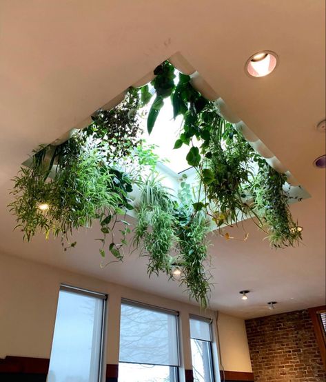 Skylight Plants, Plant Homes, Technology Website, Plant Installation, Balcony Design Ideas, Hair Salon Interior, Brick Interior, Small Balcony Design, About Plants