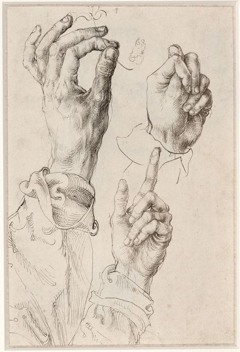 Gouache Illustration, Master Drawing, Albrecht Dürer, Albrecht Durer, Three Hands, Art Et Illustration, Caravaggio, Art And Illustration, Rembrandt