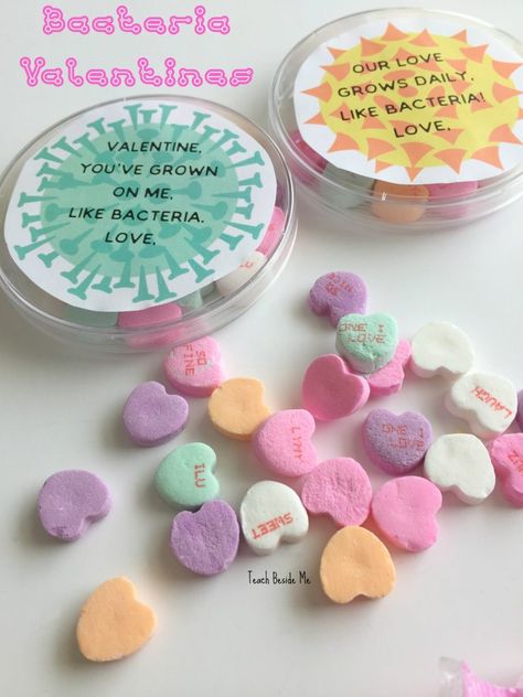 Cute bacteria science valentines! Stem Valentines Biology Valentines, Stem Valentines, Valentines Stem, Biology Activities, Coding Activities, Science Valentines, Biology Activity, Valentine Days, Biology Teacher