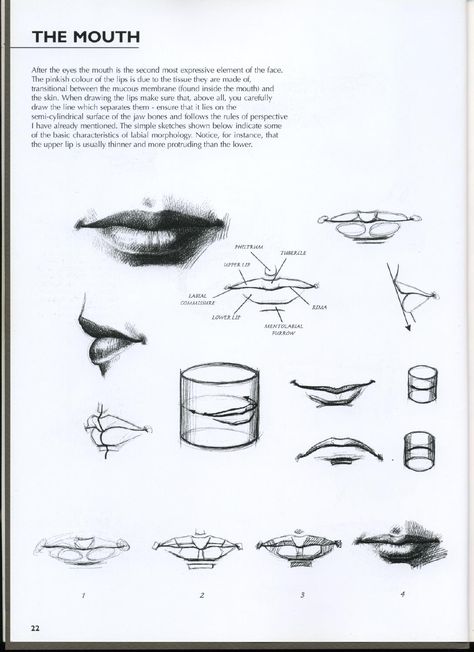 Giovanni civardi drawing portraits faces and figures Lip Anatomy Drawing, Portrait Drawing Tips, Lips Sketch, Study Drawing, Drawing Portraits, Drawing Hands, Mouth Drawing, 얼굴 드로잉, Anatomy Tutorial