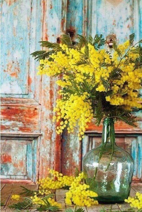 Boom Kunst, Mimosa Flower, Oil Painting Flowers, Paint By Numbers, Arte Floral, Pictures To Paint, Mimosa, 그림 그리기, Pretty Flowers