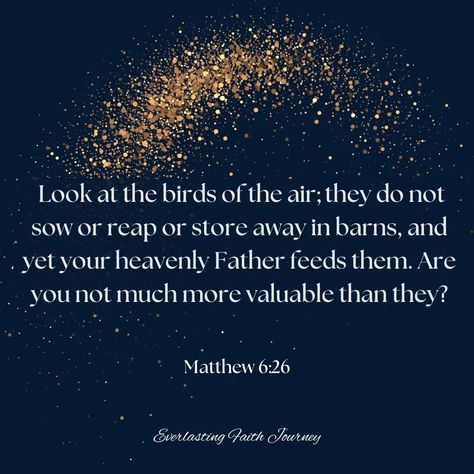 Matthew 6:26 #jesus #jesuschrist #love #hope #faith #faithoverfear #matthew  #peace #peaceful #heart #world #kingofkings #daily #dailyinspiration #dailyscripture #god #verseoftheday #verses Matthew 6 26, Peaceful Heart, Matthew 6, Daily Scripture, Inspirational Messages, Faith Over Fear, King Of Kings, Verse Of The Day, Heavenly Father