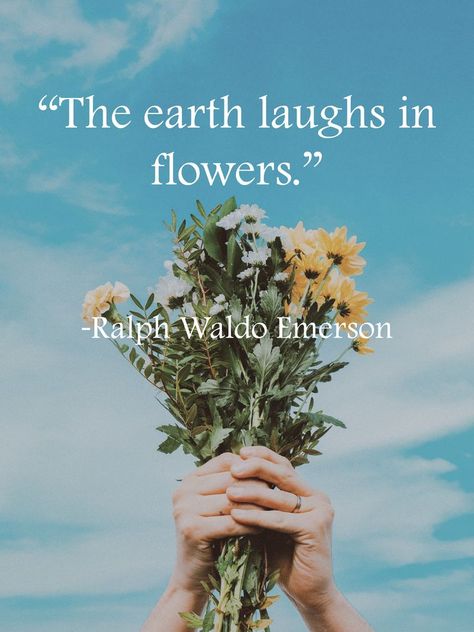 Quotes On Blooming, The Earth Laughs In Flowers, Spring Quotes, Garden Quotes, Hello Spring, My Flower, Spring Flowers, Stuff To Do, Tulips