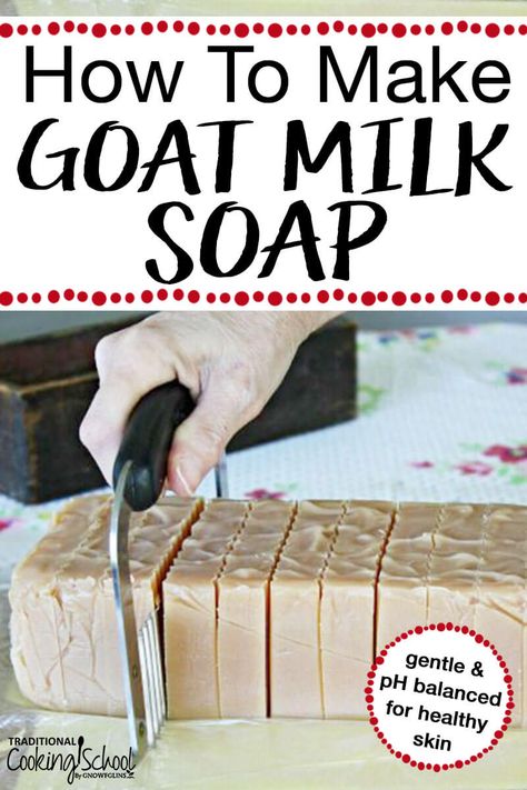 Make Goats Milk Soap, Making Goat Milk Soap Easy Diy, Basic Goat Milk Soap Recipe, Goat Milk Cold Process Soap Recipes, Fresh Goat Milk Soap Recipe, Raw Goat Milk Soap Recipe, Benefits Of Goats Milk Soap, Goat Milk Uses, How To Make Goat Milk Soap For Beginners