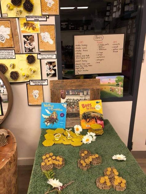 Bee Project, Reggio Emilia Classroom, Dramatic Play, Reggio Emilia, Teaching Classroom, Life Cycle, Early Childhood Education, Life Cycles, Early Childhood