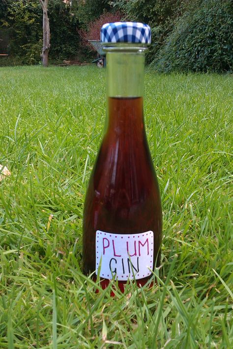 Wild plum gin with recipe Plum Vodka, Plum Gin, Summer Fruit Recipes, Flavored Alcohol, Infused Liquors, Flavoured Gin, Wild Plum, Homemade Alcohol, Plum Recipes