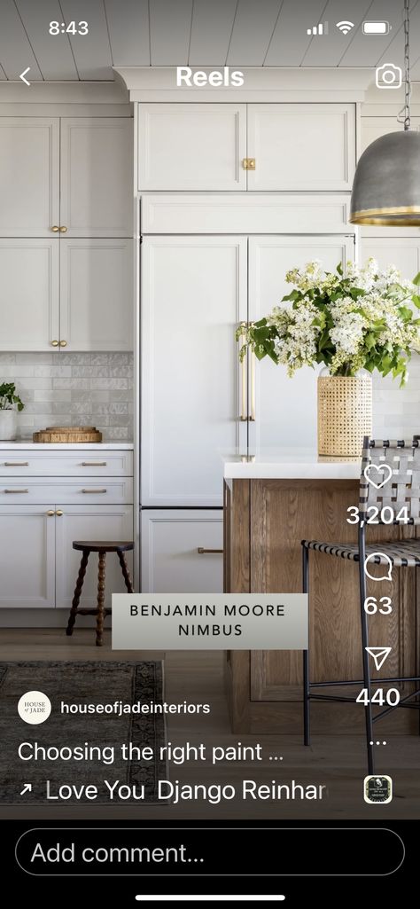 Nimbus Benjamin Moore, Benjamin Moore Nimbus, Cabinet Paint Colors, Updated Kitchen, Benjamin Moore, Kitchen Renovation, Paint Colors, New Homes, Paint