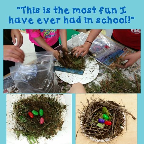 Space Kindergarten, Spring Stem Activities, Bird Activities, Spring Kids Activities, Spring Stem, Space Objects, Book Miniature, Stem Activities For Kids, Bird Nest Craft