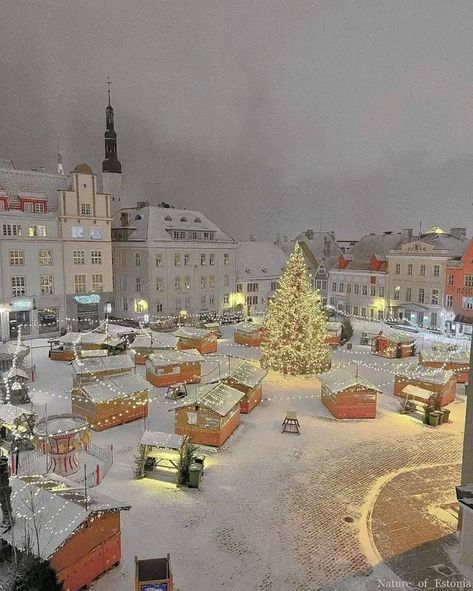 Oslo Norway 🇧🇻🤩🤩🤩 - Nwaegbu Ngozi Gift First Advent, Norway Christmas, Advent Candle, Tallinn Estonia, Advent Candles, Oslo Norway, Europe Map, Open Door, Visit Europe