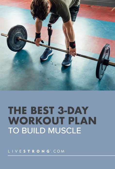 6 Week Shred Workout Plans, 4 Day Week Workout Plan, 3 Day Womens Gym Workout, 6 Week Strength Training Plan, Build Muscle Workout Plan, 2 Day A Week Strength Training, Weekly Strength Training Schedule, 3 Day A Week Workout Plan, 3 Day Total Body Workout Plan