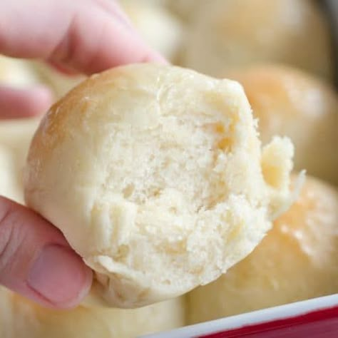 Quick Yeast Rolls - Easy fluffy dinner rolls anyone can make! Quick Yeast Rolls Recipe, Honey Yeast Rolls, Easy Homemade Rolls, Quick Yeast Rolls, Dinner Rolls Recipe Homemade, Easy Dinner Rolls, Quick Dinner Rolls, Rolls Dinner, Rolls Recipe Easy