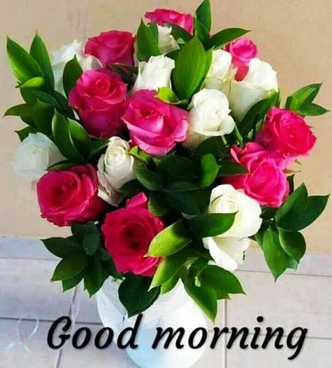 Good-morning-flowers-images-hd 574 Morning Wishes For Her, Good Morning Kiss Images, Good Morning Friday Images, Good Morning Kisses, Good Morning Wishes Gif, Good Morning Happy Friday, Cute Good Morning Images, Good Morning Roses, Good Morning Images Hd