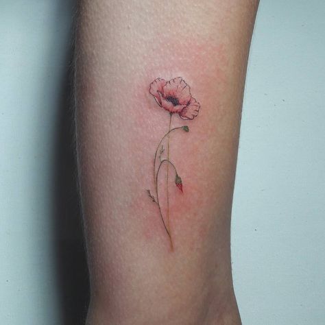 Colored Outline Tattoo, Poppy Flower Tattoo Color, Red Poppy Tattoo, Poppy Flower Tattoo, Mom Daughter Tattoos, Poppy Tattoo, Flower Poppy, Single Line Tattoo, Poppies Tattoo