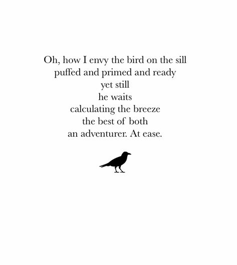 #birds #poem #poetry Poem About Birds, Bird Poems Quotes, Poems About Birds, Free Bird Quotes, Bird Poetry, Bird Poems, Frozen Memes, Poems Deep, Barn Owls