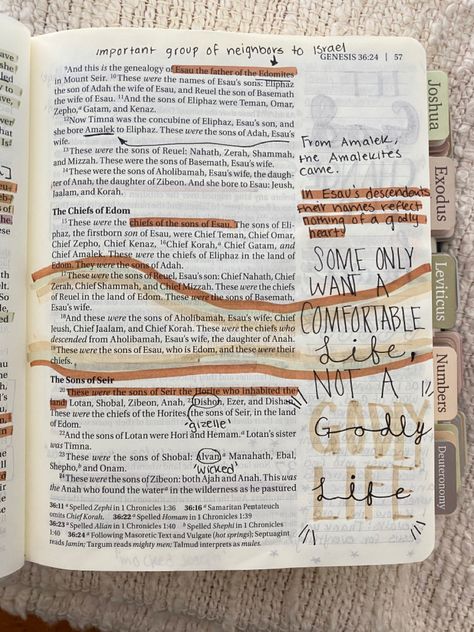 Genesis 7 Bible Journaling, Genesis Bible Journaling, Bible Drawing, Personal Bible Study, Understanding The Bible, Bible Study Topics, Christian Journaling, Bible Journal Notes, Bible Journaling Ideas Drawings