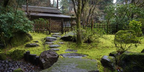 Adachi Museum Of Art, Japanese Style Garden, Portland Japanese Garden, Japanese Tea House, Japanese Tea Garden, Japanese Zen Garden, American Garden, Japanese Garden Design, Gallery Space