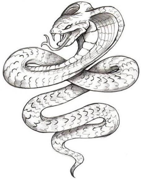 21 Realistic Snake Tattoo Drawing Ideas | PetPress Snake Tattoo, A Snake, Tattoo Designs, Black And White, Drawings, White, Black