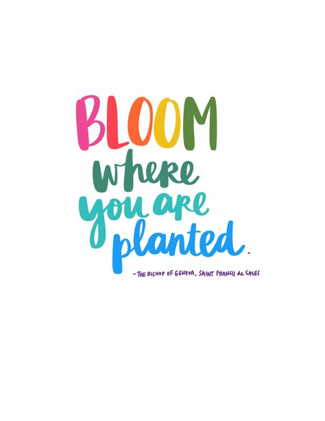 Give Yourself Time To Bloom, Buddha Thoughts, Give Yourself Time, Affirmation Board, Bloom Where You Are Planted, Vision Board Inspiration, Word Of Advice, Wonderful Words, Religious Quotes