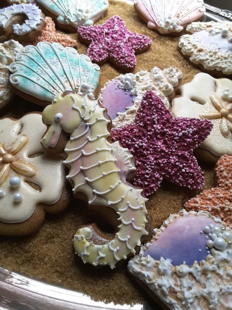 Seashell cookies,  sea creatures,  seahorse cookies,  gingerbread Seahorse Cookies, Clam Shell Cookies, Shaped Cookies Recipe, Under The Sea Cookies, Shell Cookies, Seashell Cookies, Sea Cookies, Mermaid Cookies, Beach Cookies