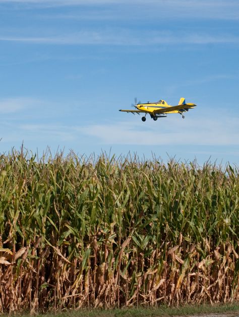 crop duster Crop Duster Airplane, Crop Duster, Radio Control Diy, Corn Fields, Model Train Table, Bush Plane, Plane Photos, The Everglades, Ap Studio Art