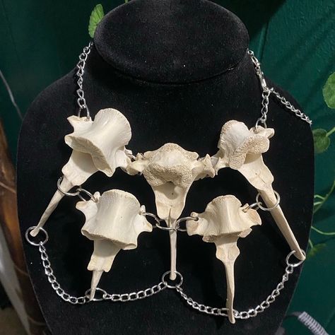 Deer Vertebrae, Animal Bone Jewelry, Vulture Culture, Real Bones, Bone Necklace, Bone Jewelry, Animal Bones, Taxidermy, Goth Fashion