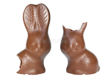 Happy easter with chocolate bunnies. Chocolate easter bunnies with bites, over w , #AD, #chocolate, #bunnies, #Happy, #easter, #white #ad Images Of Chocolate, Chocolate Bunnies, Chocolate Rabbit, Easter Templates, Chocolate Easter Bunny, Did You Eat, Chocolate Bunny, Easter Bunnies, Easter Chocolate