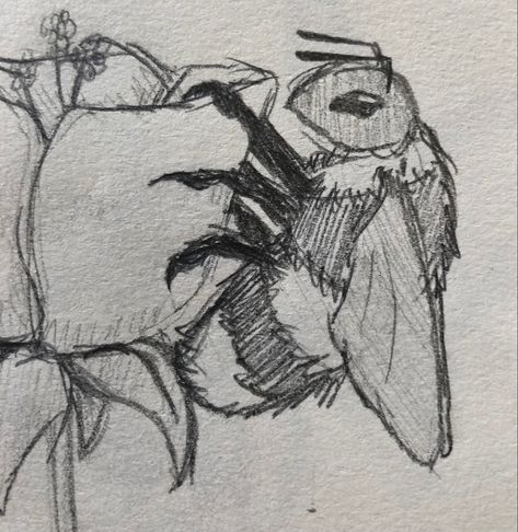 #sketch #reference #drawing #bee #bug #aethstetic #color #honey Fluffy Bee Drawing, Aethstetic Art Drawing, Bug Aethstetic, Drawing Aethstetic, Honey Bee Art Drawings, Bug Drawing Insects, Cute Honey Bee Drawing, Bugs Drawing Sketches, Honey Bee Sketch