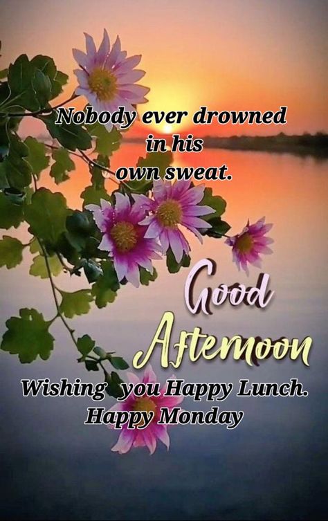 Good Afternoon Happy Monday, Good Monday Afternoon, Happy Monday Afternoon, Afternoon Images, Good Afternoon Quotes, Afternoon Quotes, Birthday Greetings Friend, Happy Birthday Greetings Friends, Wonderful Wednesday